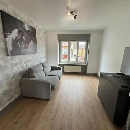 T3 Premium - Calme & Spacieux 6-12 Personnes Belfort Exterior photo